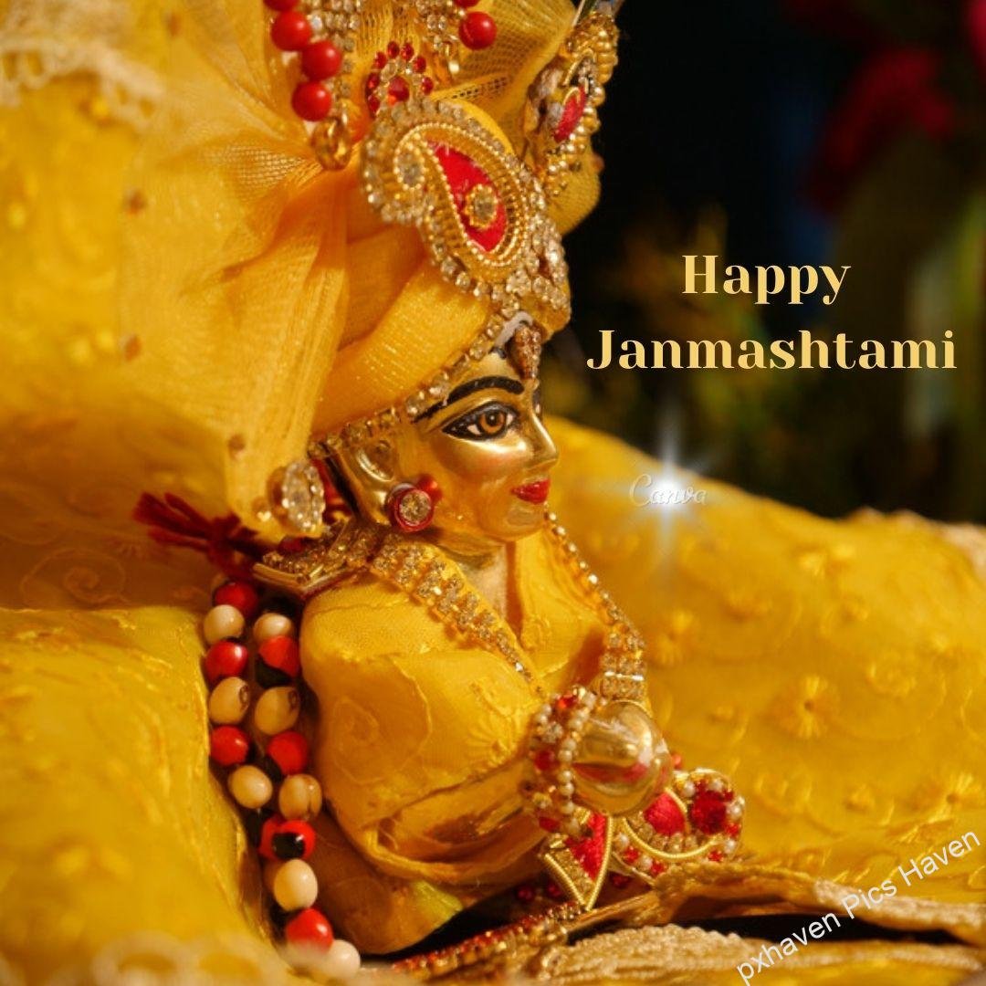 Beautiful Baal Gopal in yellow color dress with laddoo and flute and peacock feather ready for Janmashtami. Happy Janmashtami.