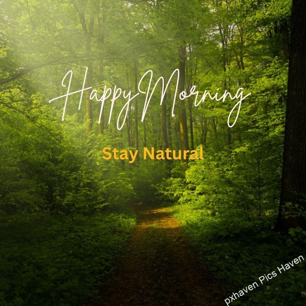 Beautiful Good Morning Images and quotes.HD image free download. Good morning happy morning stay natural green trees forests plants leaves greenery