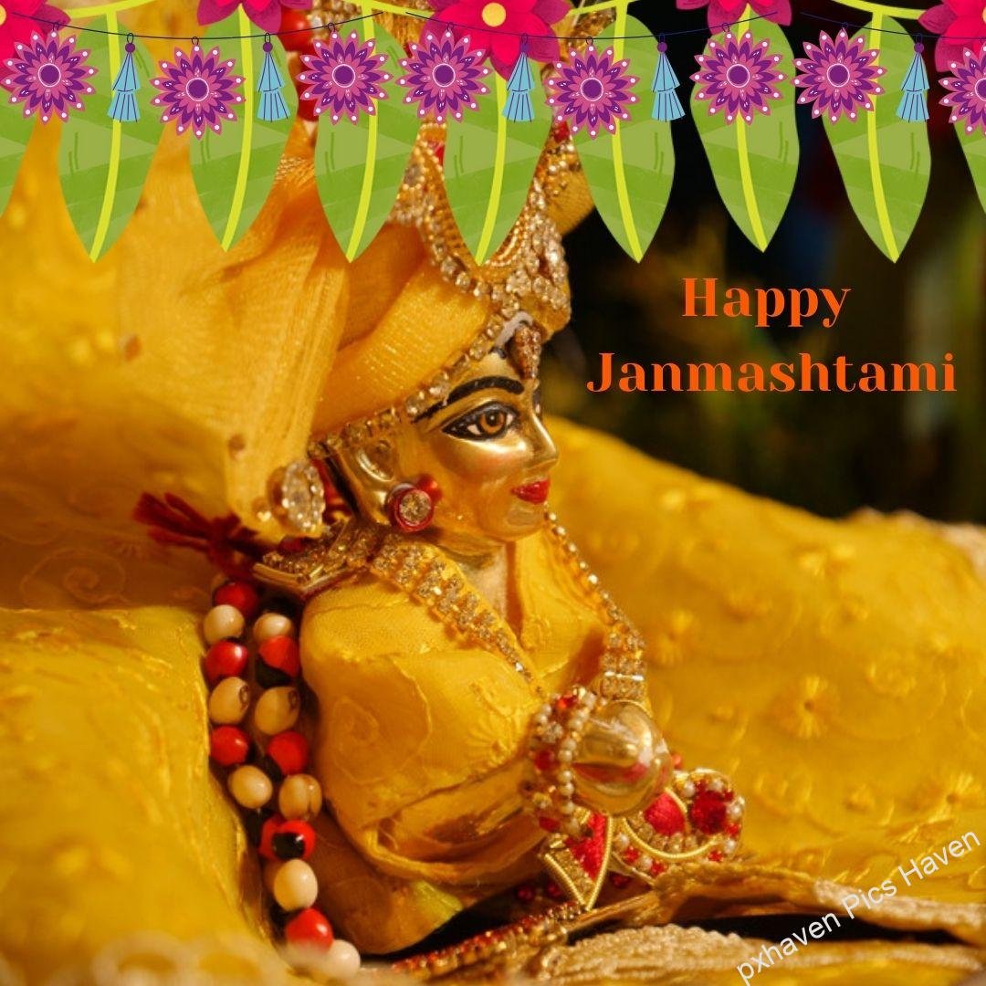 Beautiful Baal Gopal in yellow color dress with laddoo and flute and peacock feather ready for Janmashtami. Happy Janmashtami.