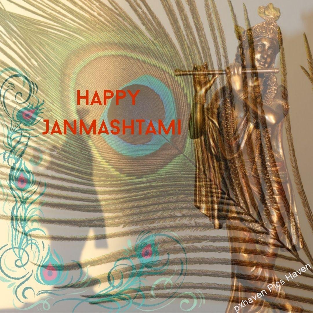 Lovely Krishna ready for Janmashtami with flute in hand and peacock feather .