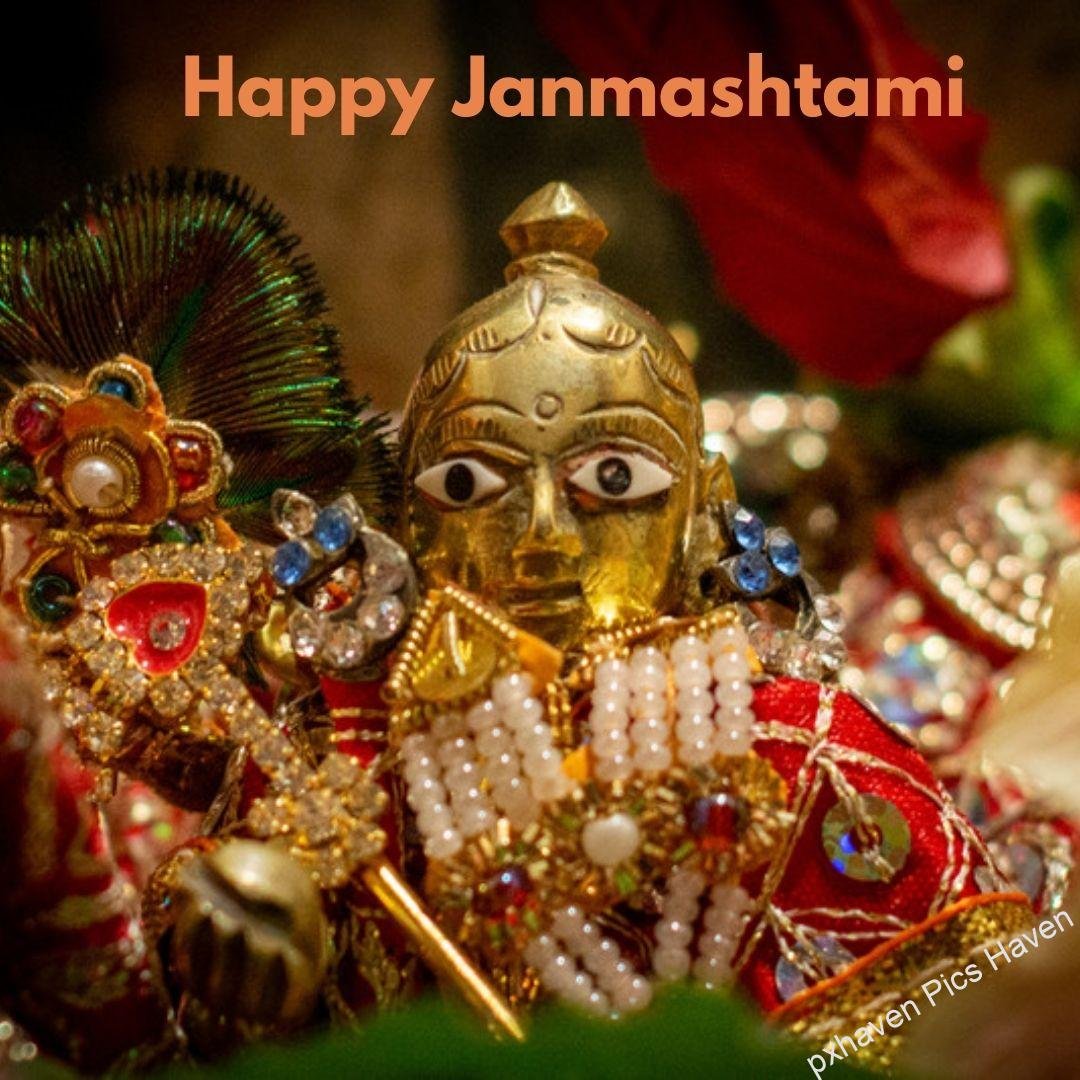 Beautiful Baal Gopal in yellow color dress with laddoo and flute and peacock feather ready for Janmashtami. Happy Janmashtami.
