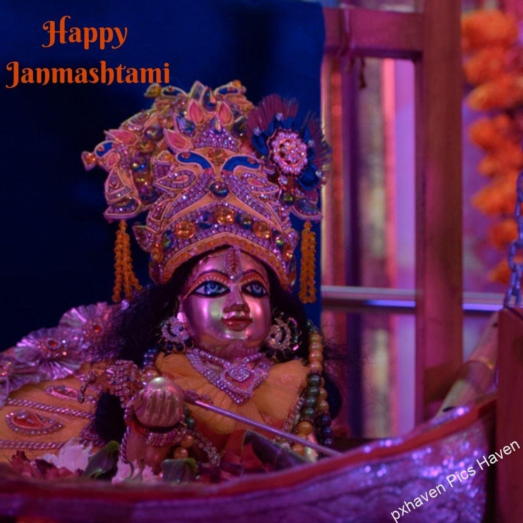 Beautiful Baal Gopal in yellow color dress with laddoo and flute and peacock feather ready for Janmashtami. Happy Janmashtami.
