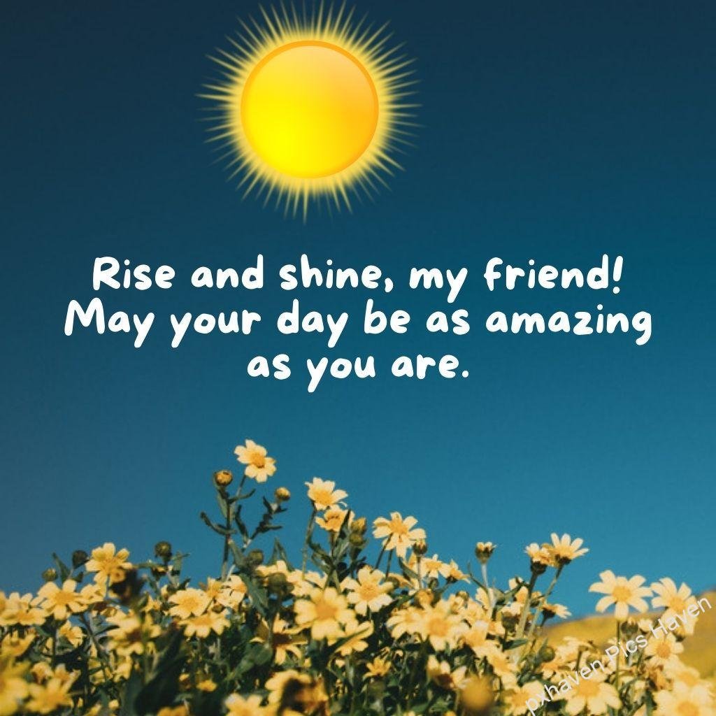 Beautiful Good Morning Images and quotes.HD image free download. A good morning wish quote with sunrise for friend may your day be amazing as you are