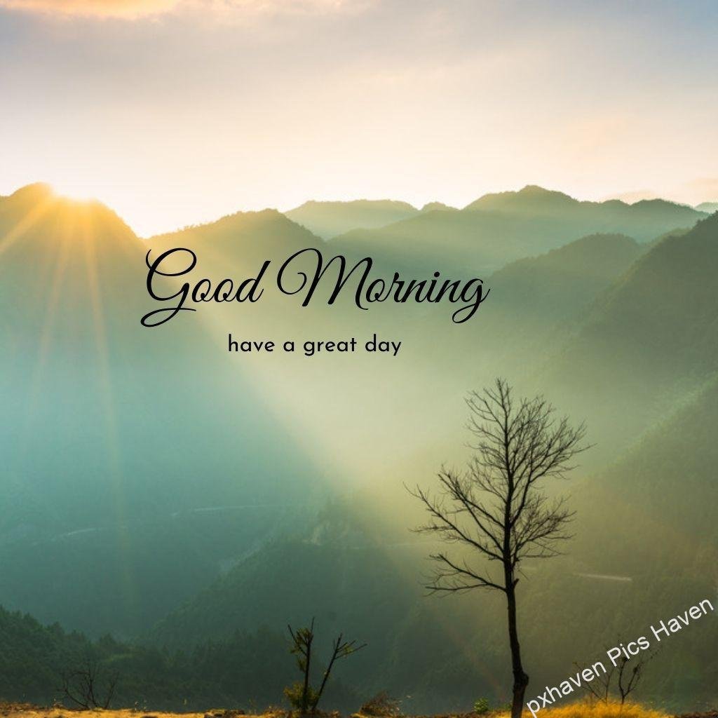 Beautiful Good Morning Images and quotes.HD image free download. Good morning sunrise on the mountains with for and trees