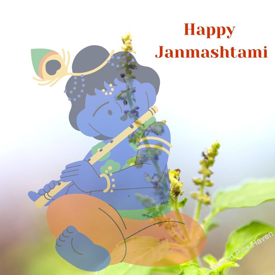 Blue colour Sri Krishna bal Gopal Laddoo Gopal in orange dress and flute and peacock feather with tulsi playing flute bansuri. Happy Janmashtami.