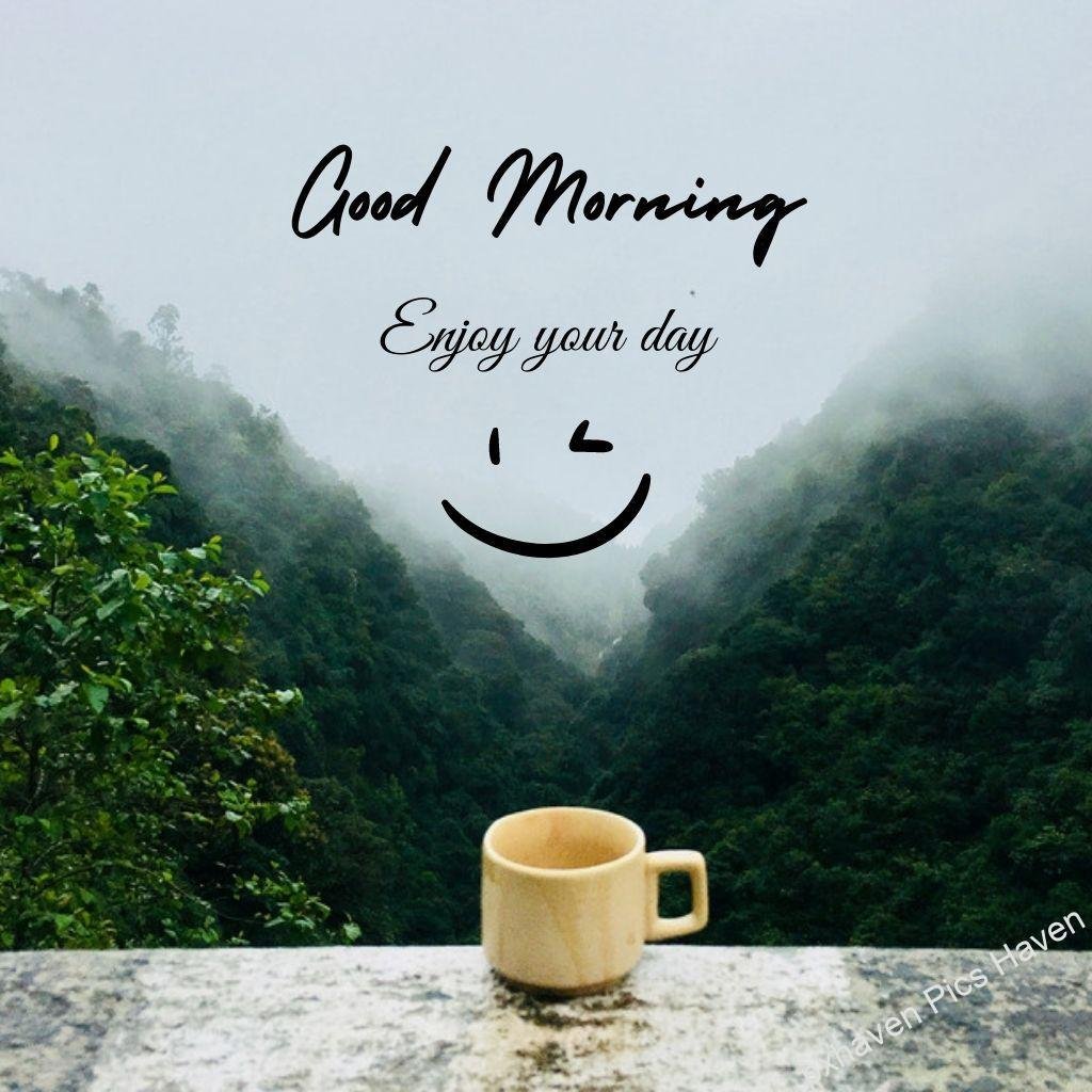 Beautiful Good Morning Images and quotes.HD image free download. Tea cup with greenery fog happy morning rain