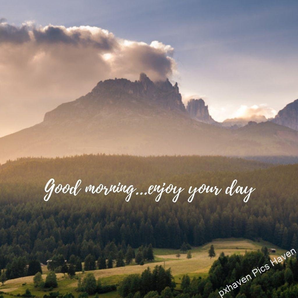Beautiful Good Morning Images and quotes.HD image free download. Lots of pine trees clouds and mountains wishing you Good morning. Enjoy your day. Free download.