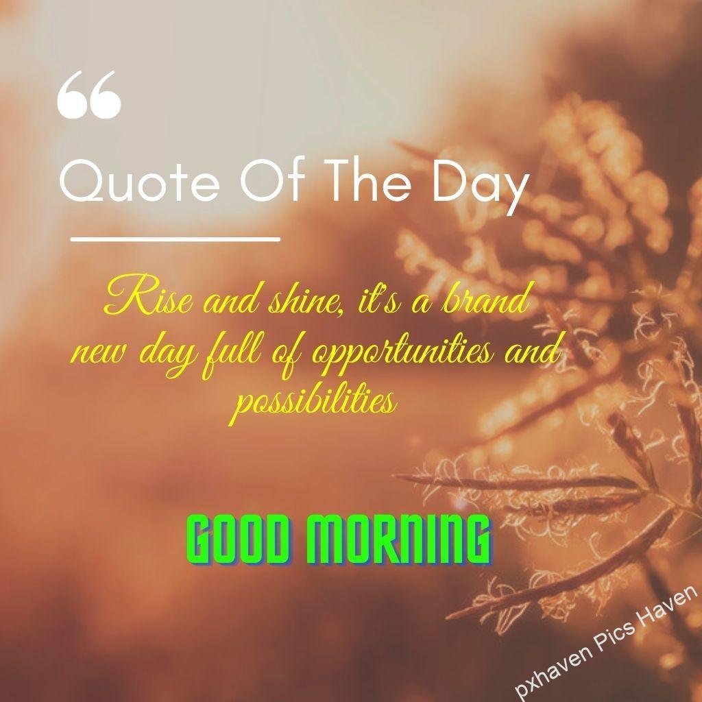 Beautiful Good Morning Images and quotes.HD image free download. Good morning wishes pink brown day Rise and shine its a brand new day full of opportunities and possibilities good morning
