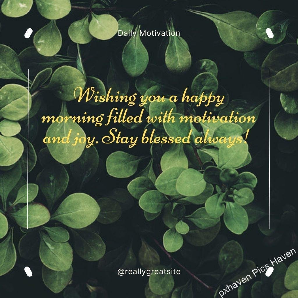 Beautiful Good Morning Images and quotes.HD image free download.