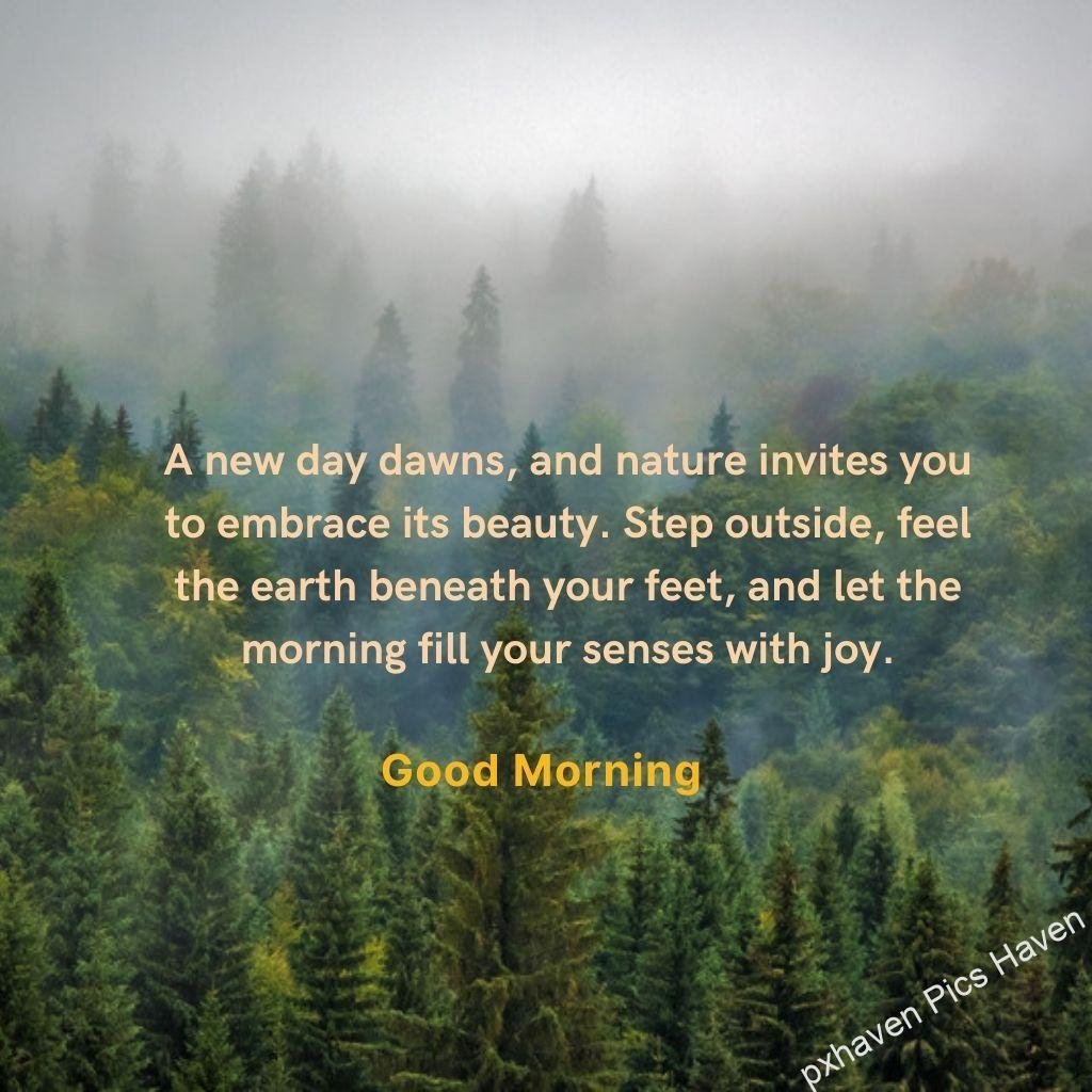 Beautiful Good Morning Images and quotes.HD image free download. Good morning wishes green pine forest with greenery a new day dawns and nature invites you to embrace its beauty. Step outside feel the earth beneath your feet and let the morning fill your senses with joy good morning.