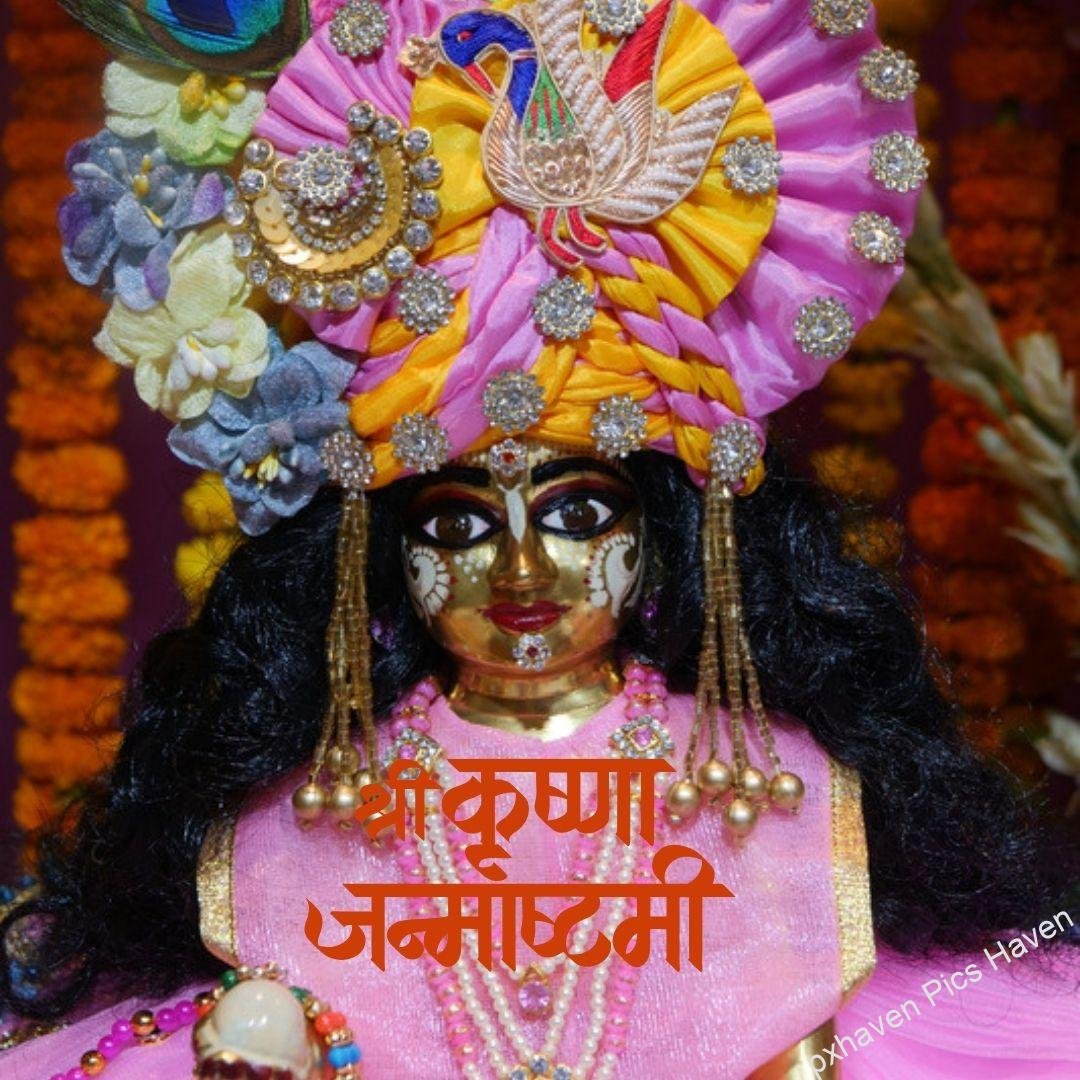 Baal gopal in pink color dress beautiful laddoo Gopal ready for Janmashtami . Happy Janmashtami.