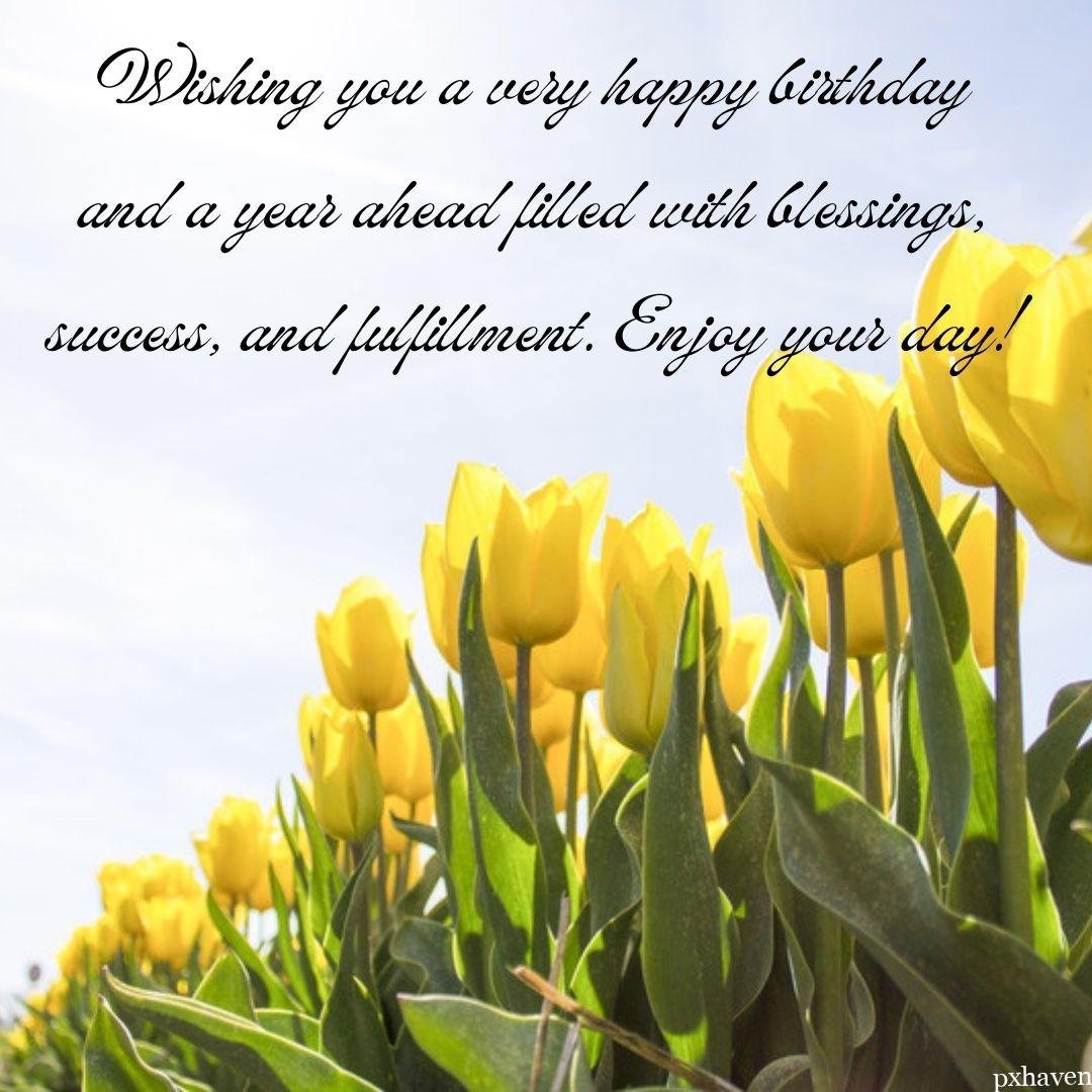 Beautiful yellow tulips with green leaves in open sky wishes you a happy birthday. Wishing you a very happy birthday and a year ahead filled with blessings, success and fullfillment! Enjoy your day.