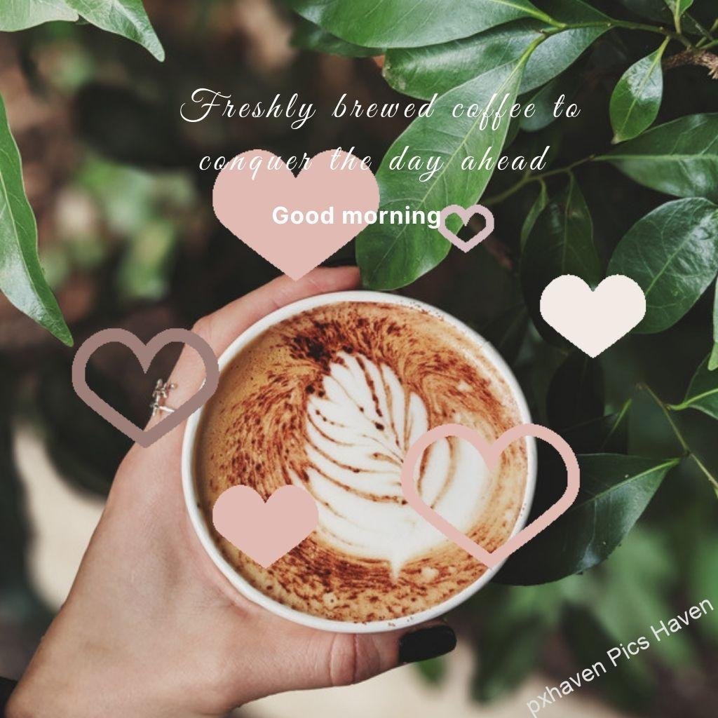 Beautiful Good Morning Images and quotes.HD image free download. Coffee with hearts and greenery. Freshly brewed coffee to conquer the day ahead. Good morning. Good morning wishes and quotes. Free download