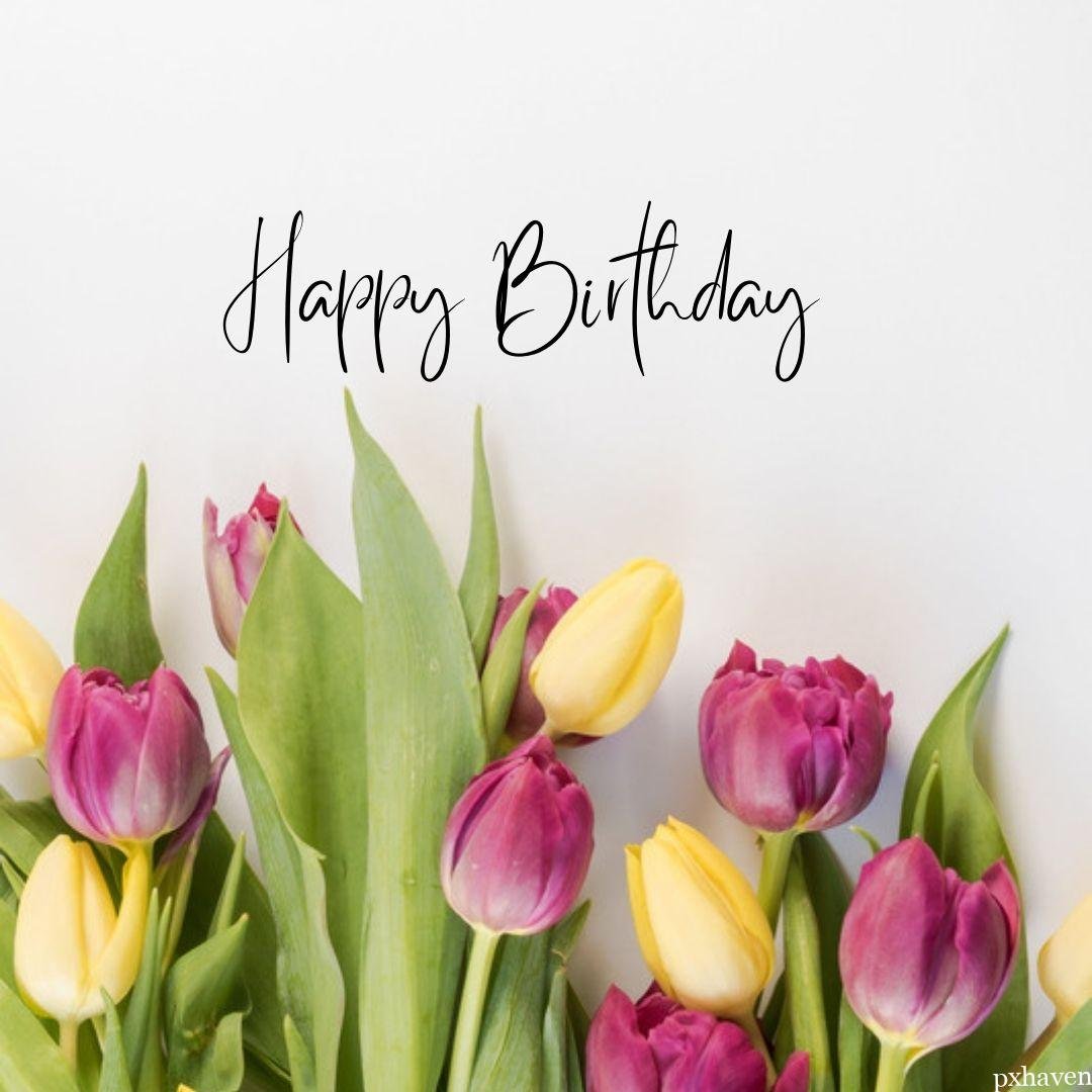 Yellow and pink beautiful tulips with green leaves wishing you Happy birthday. May your day be filled with laughter, cake and wonderful moments shared with loved ones.