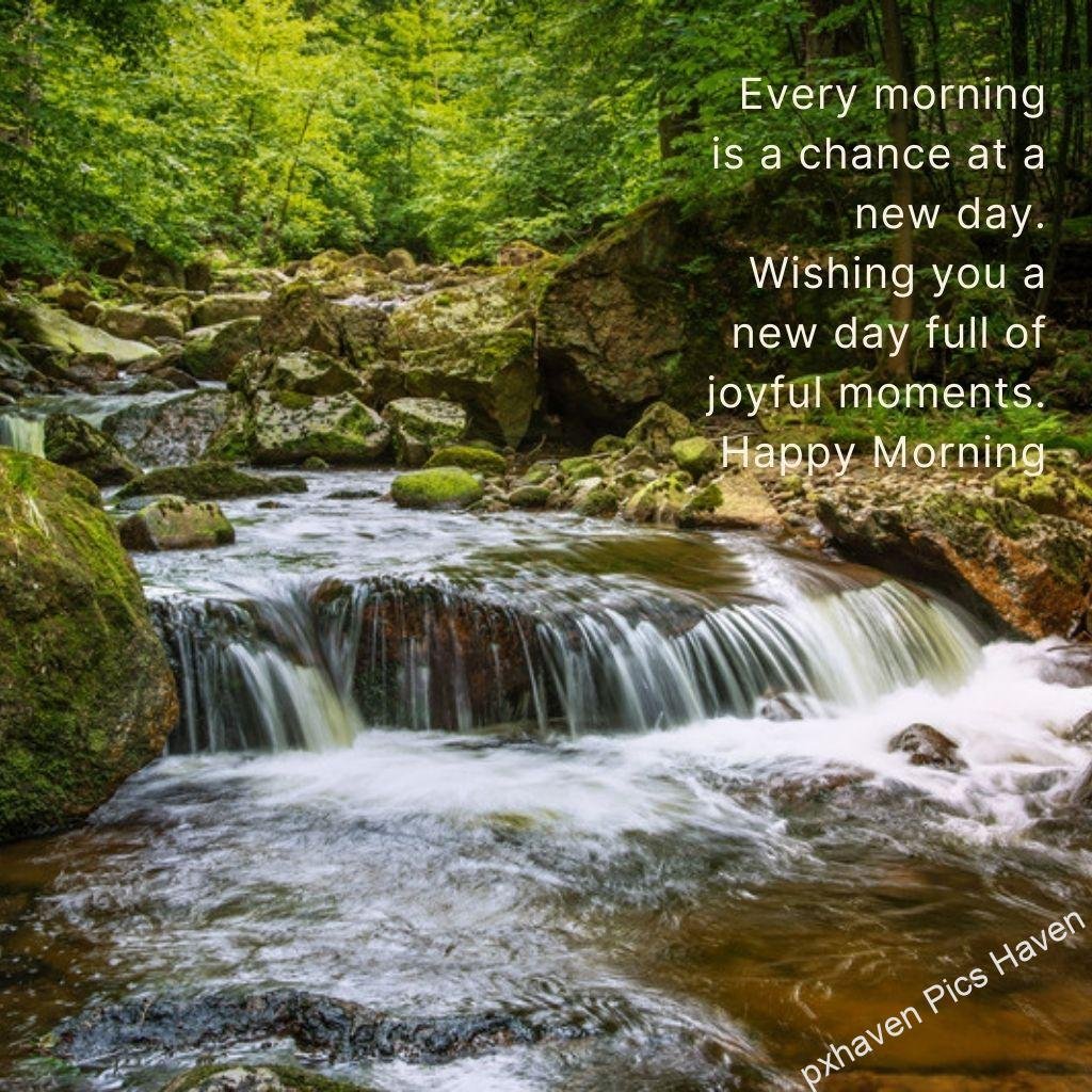 Beautiful Good Morning Images and quotes.HD image free download. Greenery tress and waterfall river stones and moss. Every morning is a chance at a new day. Wishing you a new day full of joyful moments. Happy morning. HD image/photo. Free download.