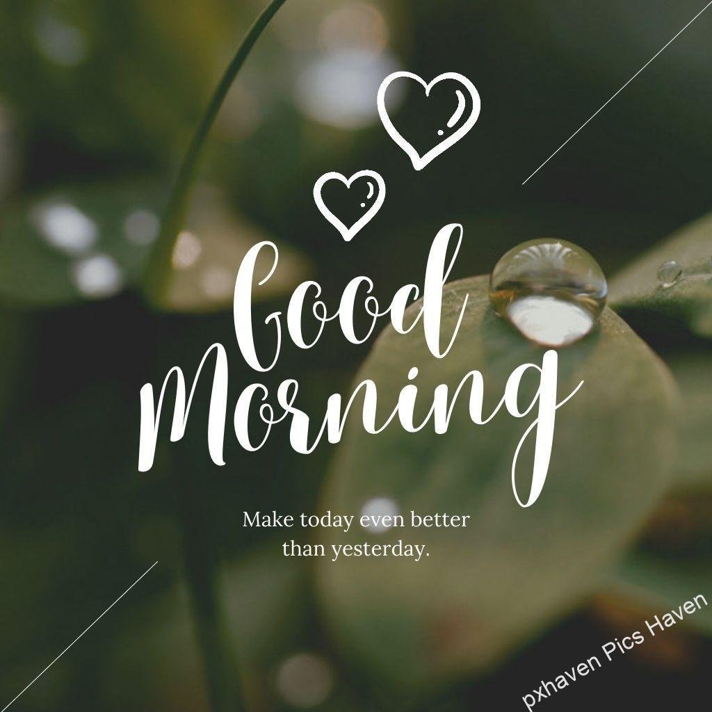 Beautiful Good Morning Images and quotes.HD image free download. Good morning with hearts with water drops on leaf Make today better than yesterday.