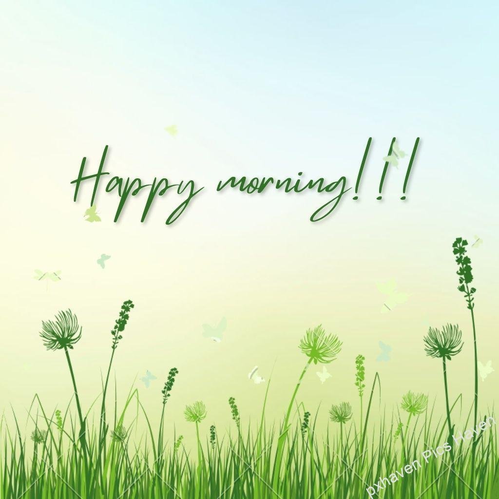 Beautiful Good Morning Images and quotes.HD image free download. Green grass and flowers wishing happy morning good morning