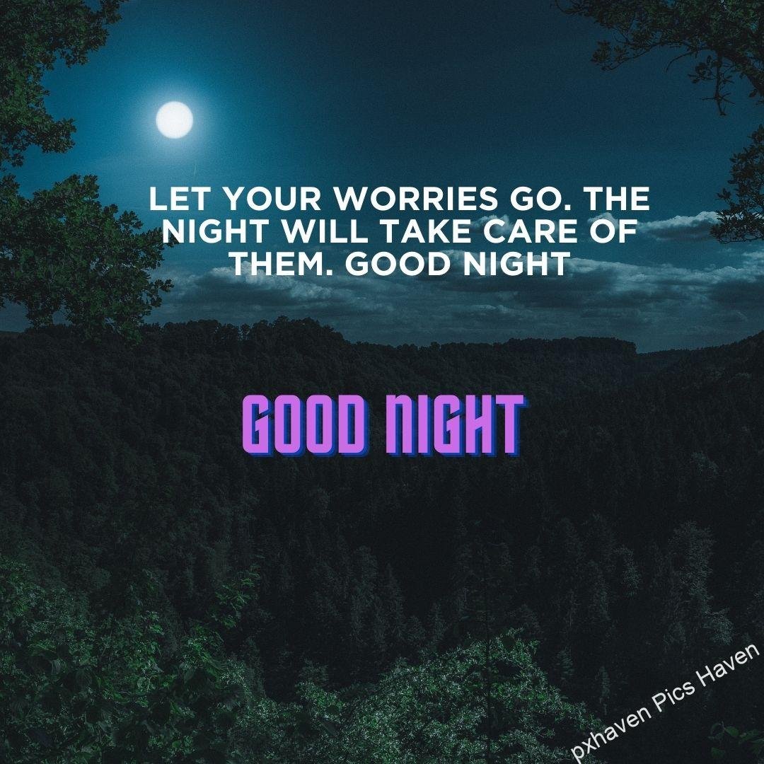 A dark night with the bright moon and the sky with a lot of trees and plants greenery. Let your worries go. The night will take care of them. Good night. Free download good night quotes.