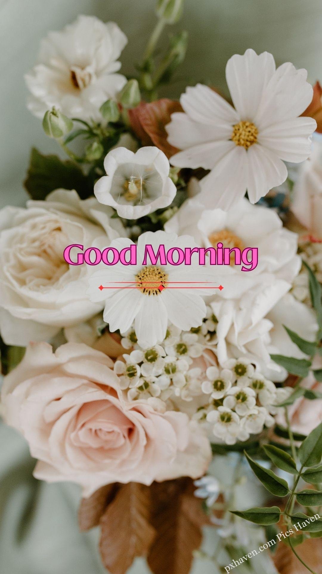 white flowers rose wishes. Good morning wishes. good morning have a great day. Free download. HD image.