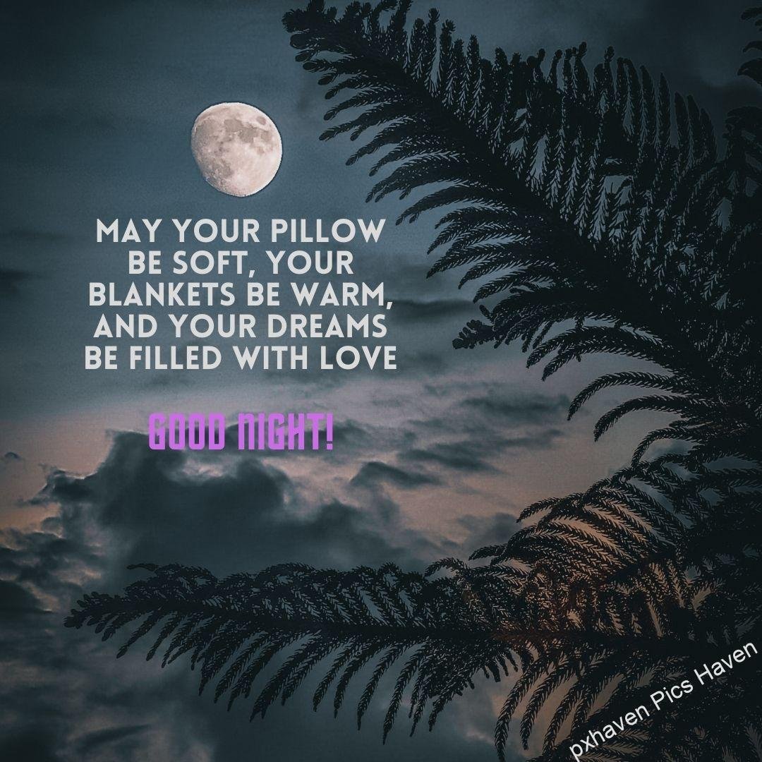 A beautiful night with a bright moon on the sky. May your pillow be soft, your blankets be warm, and your dreams be filled with love. Good night.