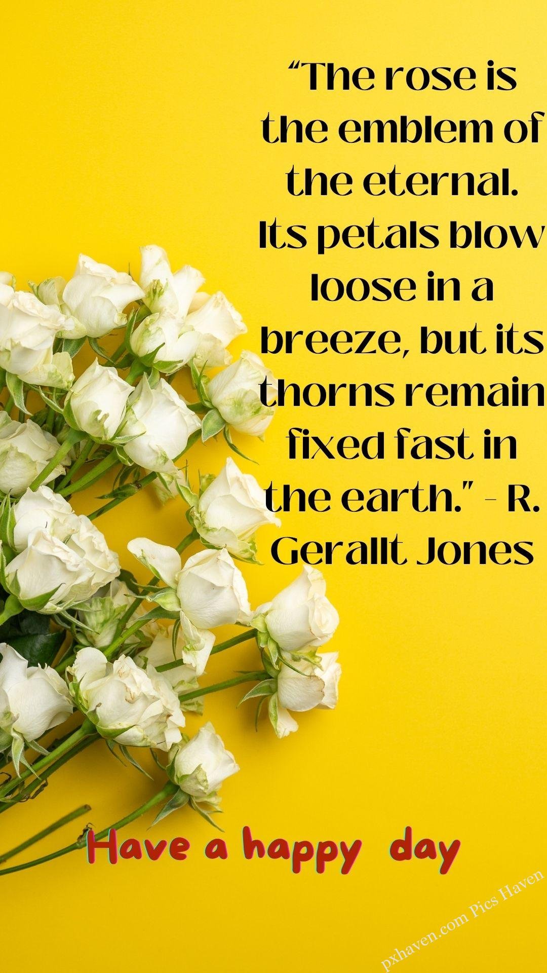 white rose wishes. Good morning wishes. good morning have a happy day. Free download. HD image. The rose is the emblem of the eternal. Its petals blow loose in a breeze, but its thorns remain fixed fast in the earth.