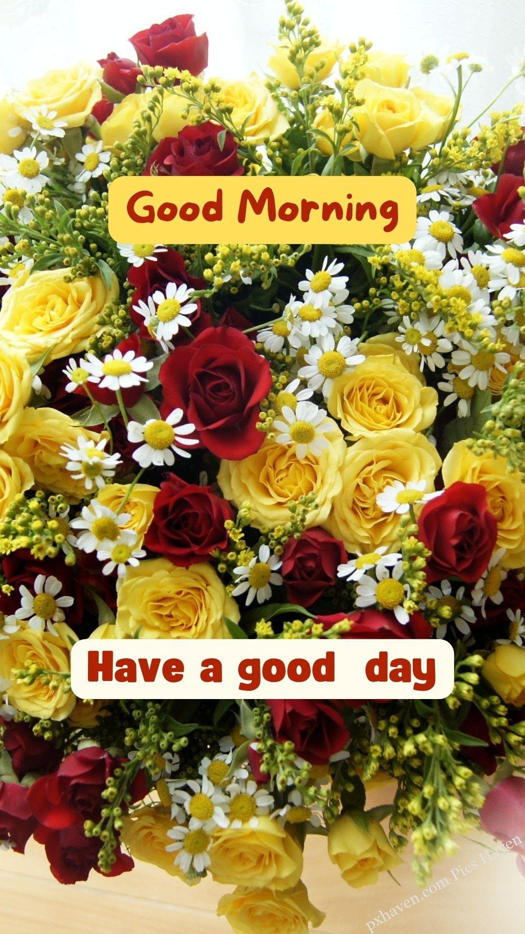 yellow and red rose wishes. Good morning wishes. good morning have a wonderful day. Free download. HD image.
