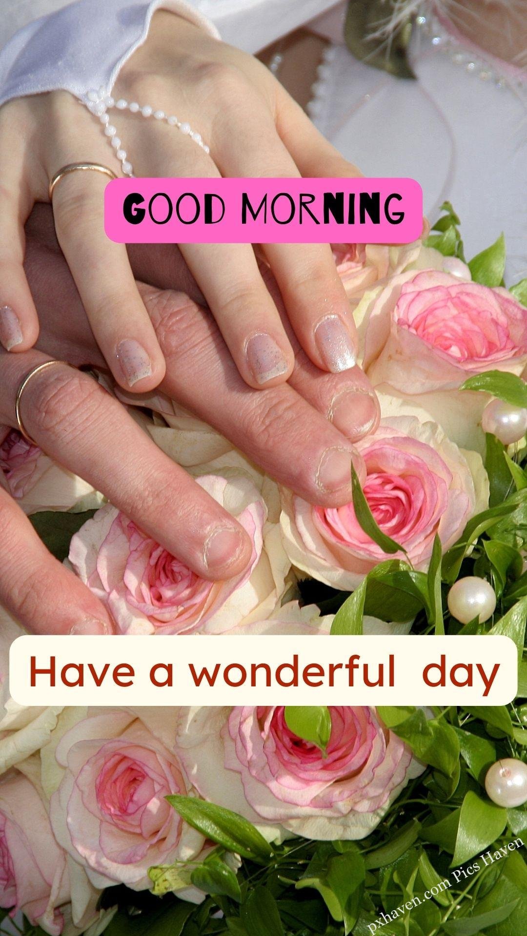 two hands. rose wishes. Good morning wishes. good morning have a wonderful day. Free download. HD image.