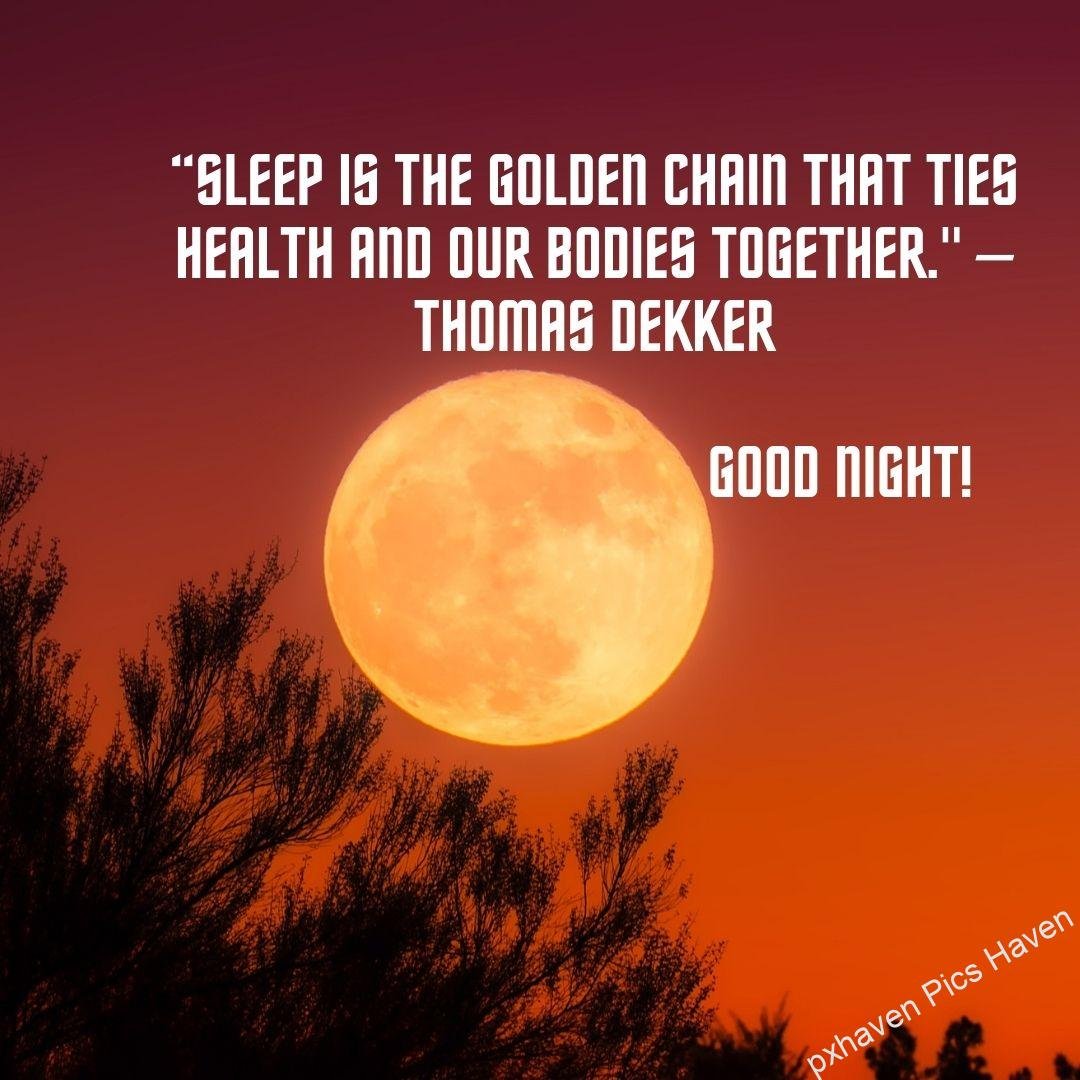 Red colour sky with red moon and trees. “Sleep is the golden chain that ties health and our bodies together." – Thomas Dekker. Good Night.