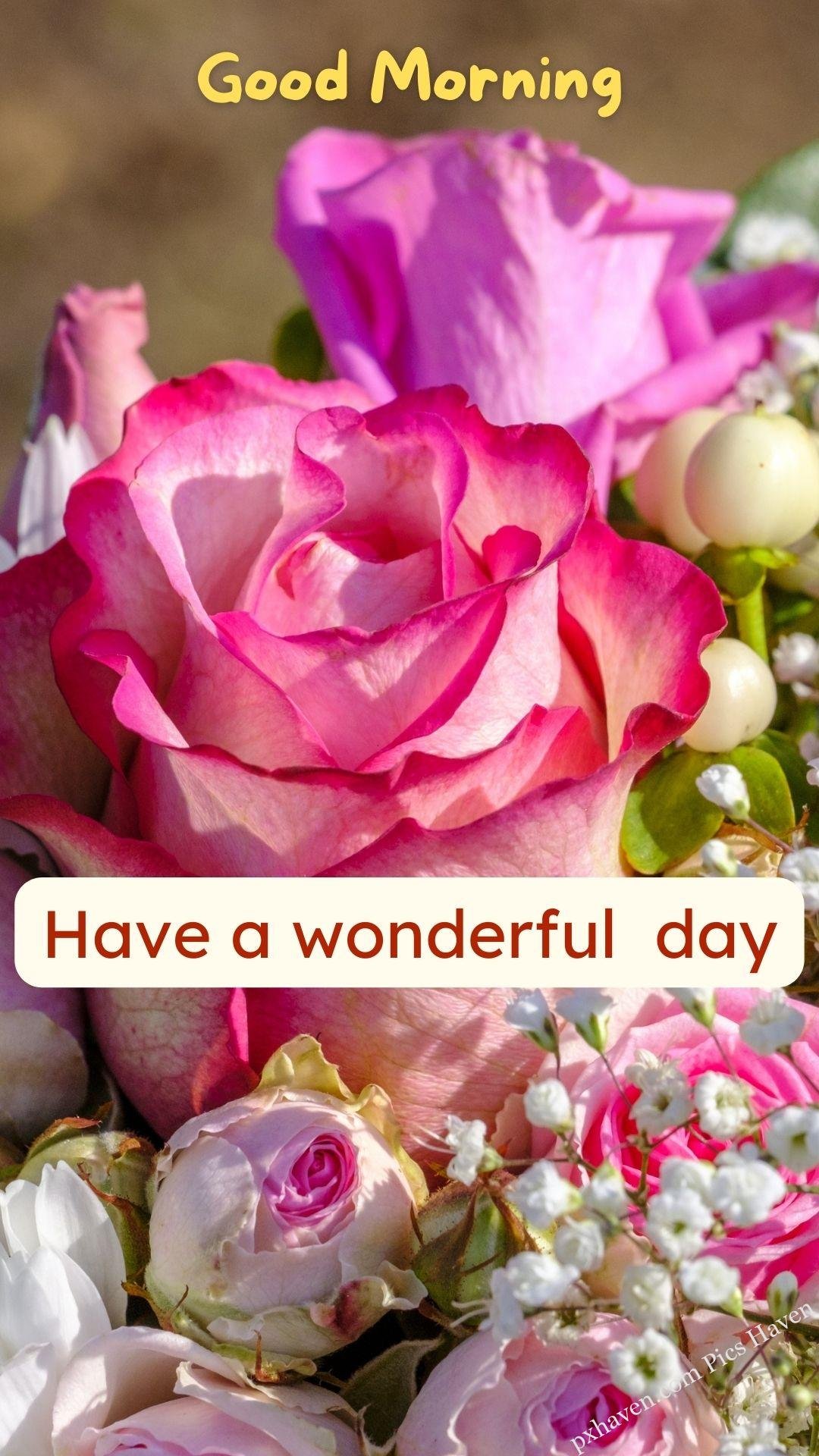 Good morning wishes. good morning have a wonderful day. Free download. HD image.