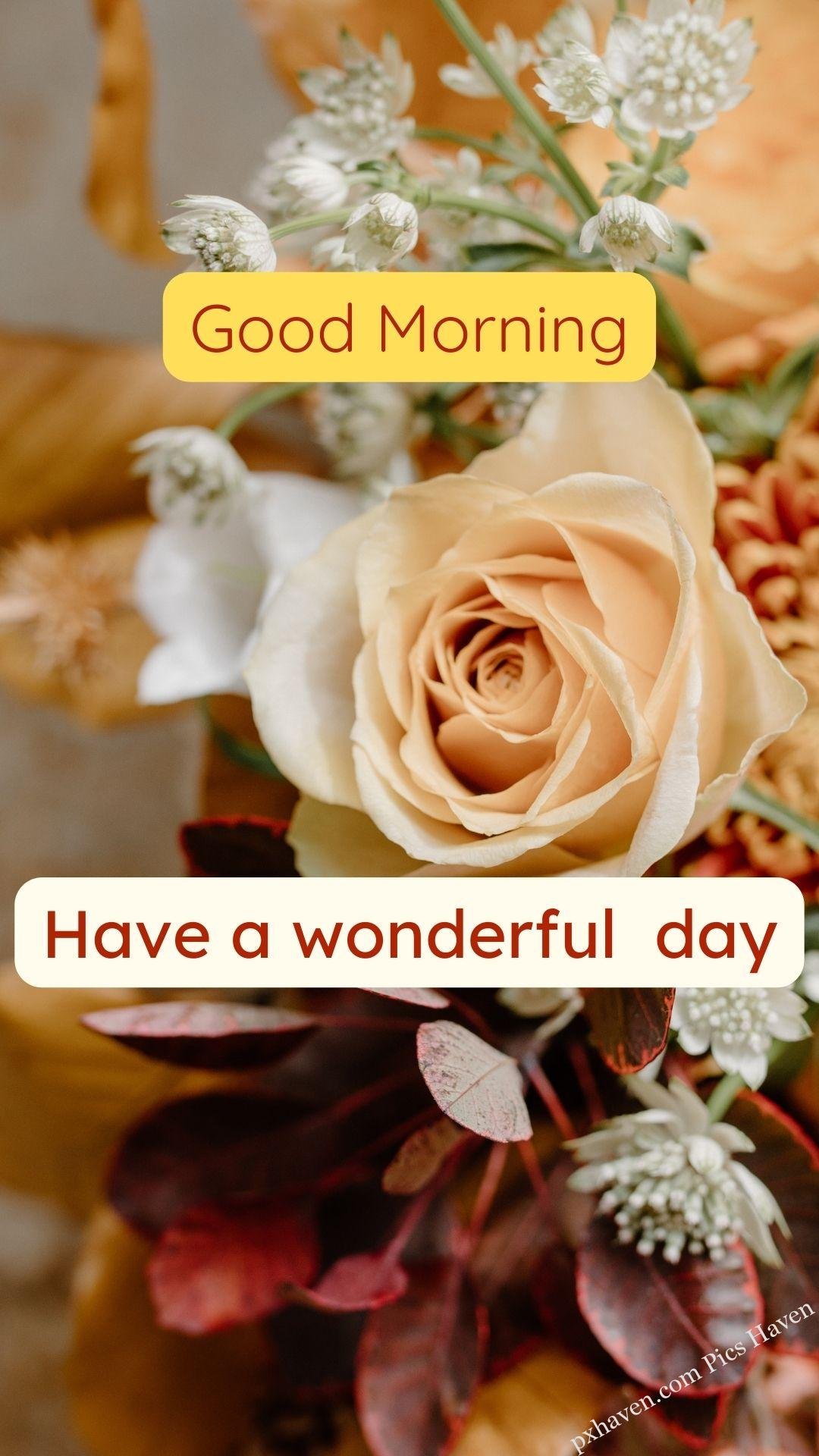Good morning wishes. good morning have a wonderful day. Free download. HD image.
