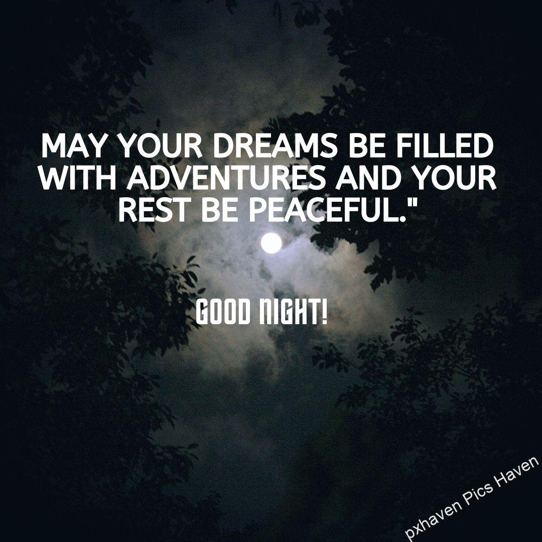 Dark night with a lovely moon lighting the sky. May your dreams be filled with adventures and your rest be peaceful." Good night Free download.