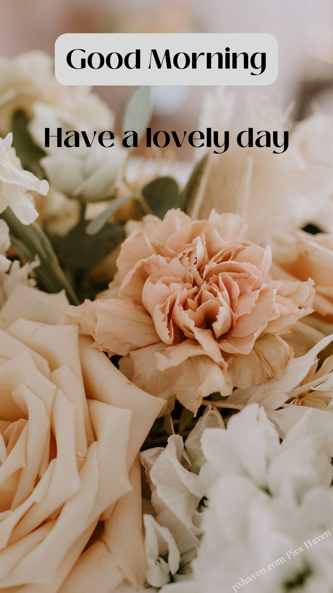 pink flowers rose bouquet wishes. Good morning wishes. good morning Have a lovely day . Free download. HD image.