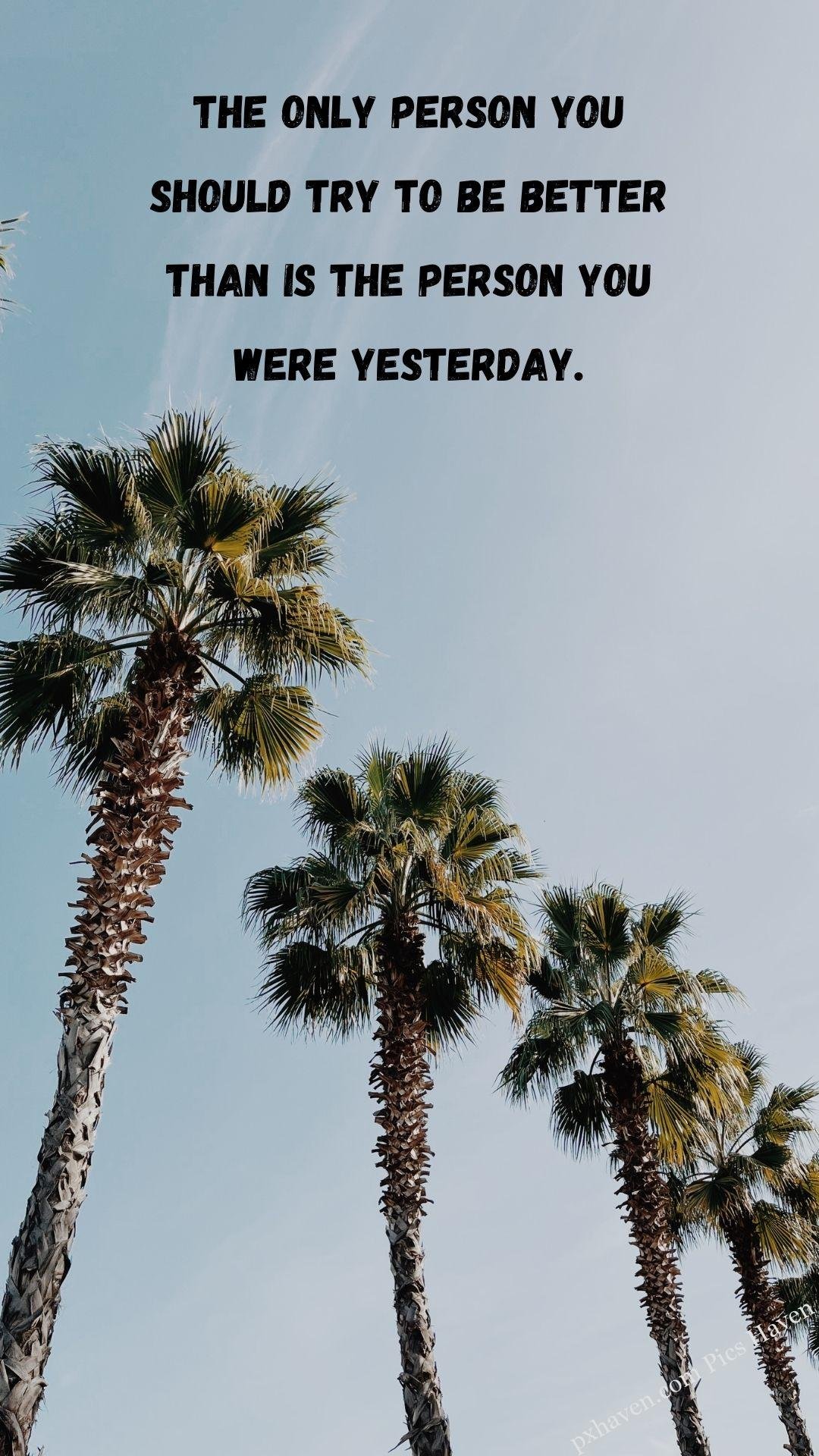 4 Palm trees standing together in a line. in the open sky. The only person you should try to be better than is the person you were yesterday. Whatsapp status. Motivation quotes. HD image. Free download. Whatsapp status. Motivation quotes. HD image. Free download.