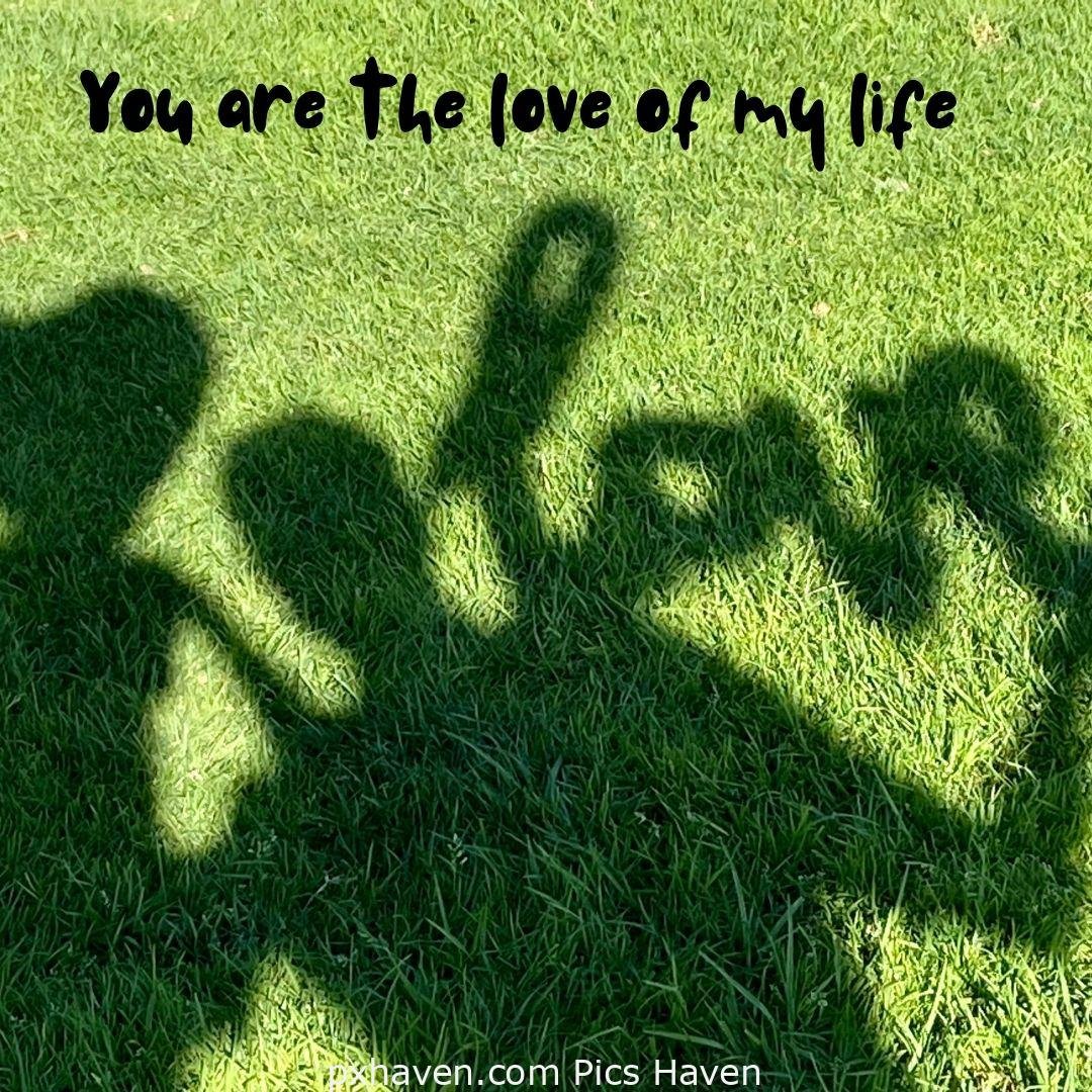 You are the love of my love. A girl and boy playing together on grass love shadow. Love Quotes and Images for Couples. HD images. Free download.