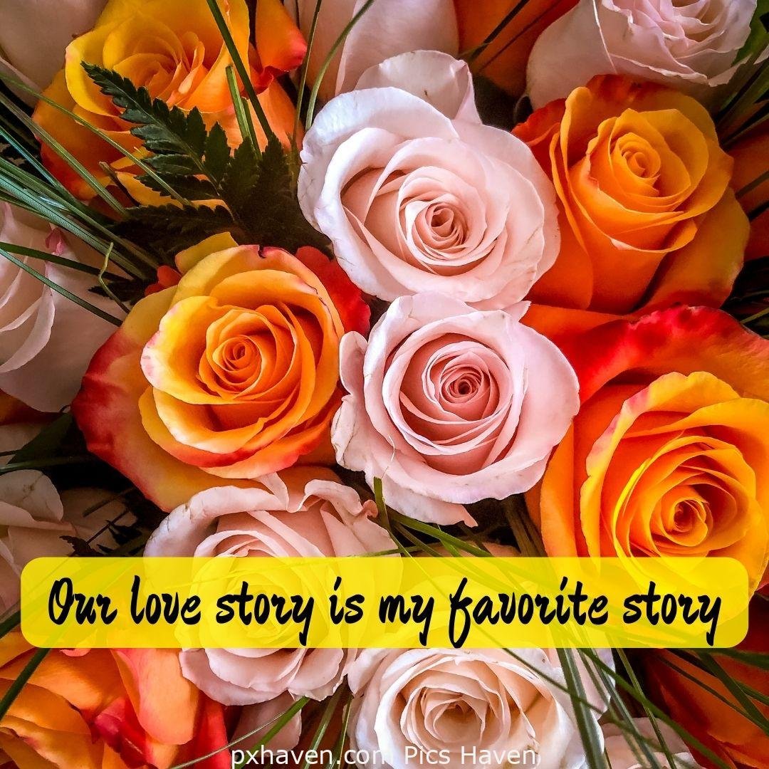 Our love story is my favourite story. red orange pink roses and flowers. relationship and love. romantic couple images and quotes. Love Quotes and Images for Couples. HD images. Free download.