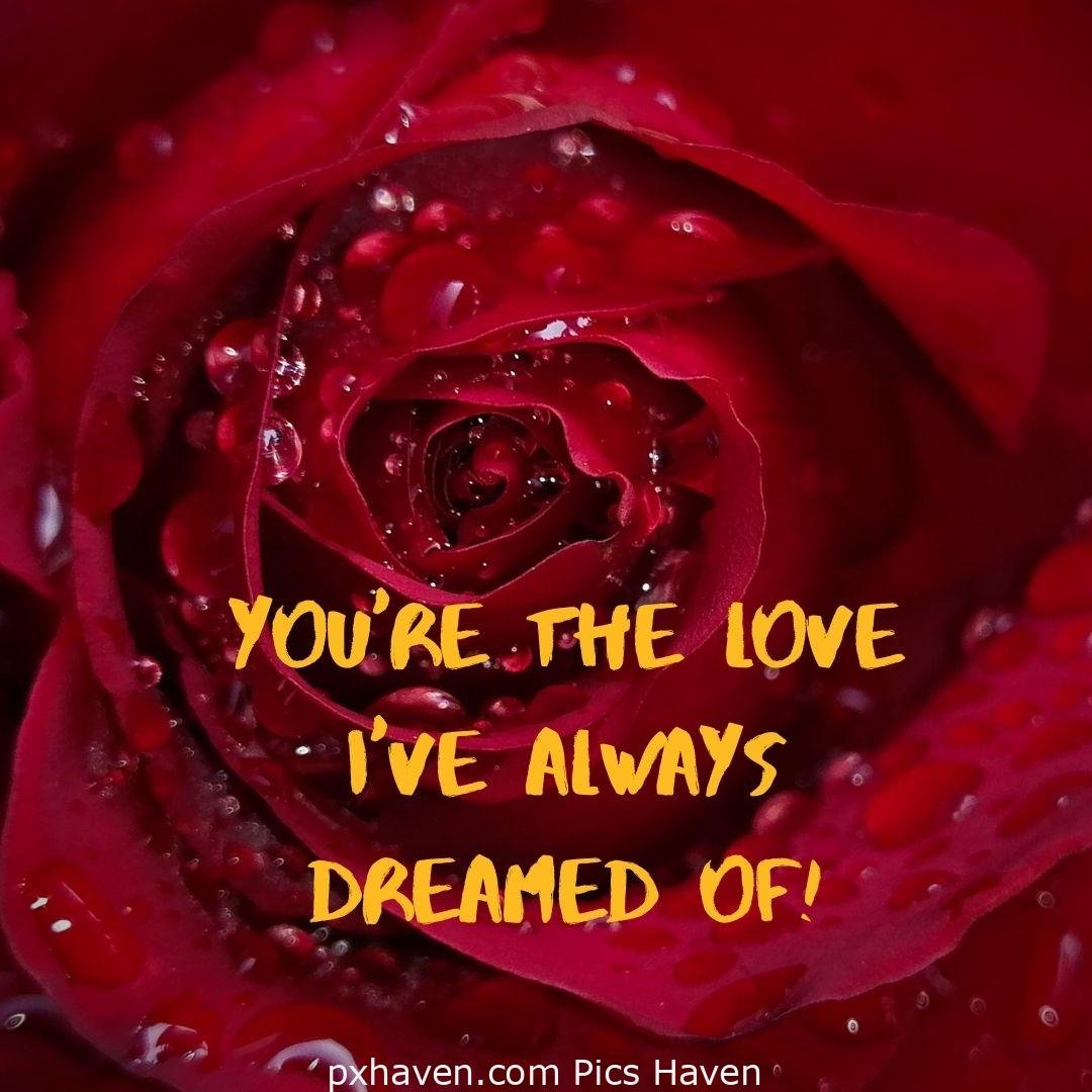 You're the love I've always dreamed of. red roses and flowers. relationship and love. romantic couple images and quotes. Love Quotes and Images for Couples. HD images. Free download. Free download.