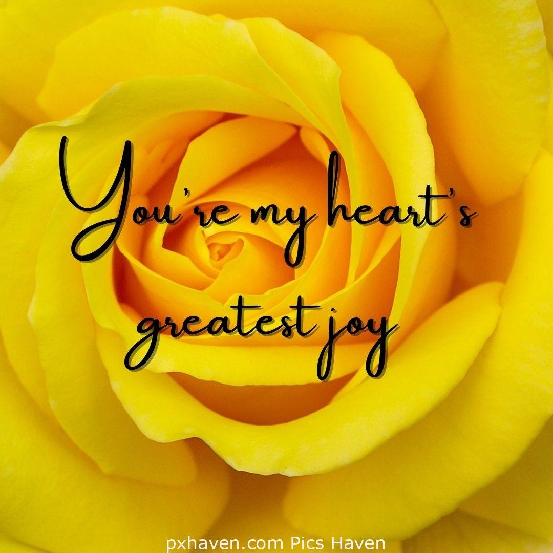 You're my heart's greatest joy. yellow roses. relationship and love. romantic couple images and quotes. Love Quotes and Images for Couples. HD images. Free download.
