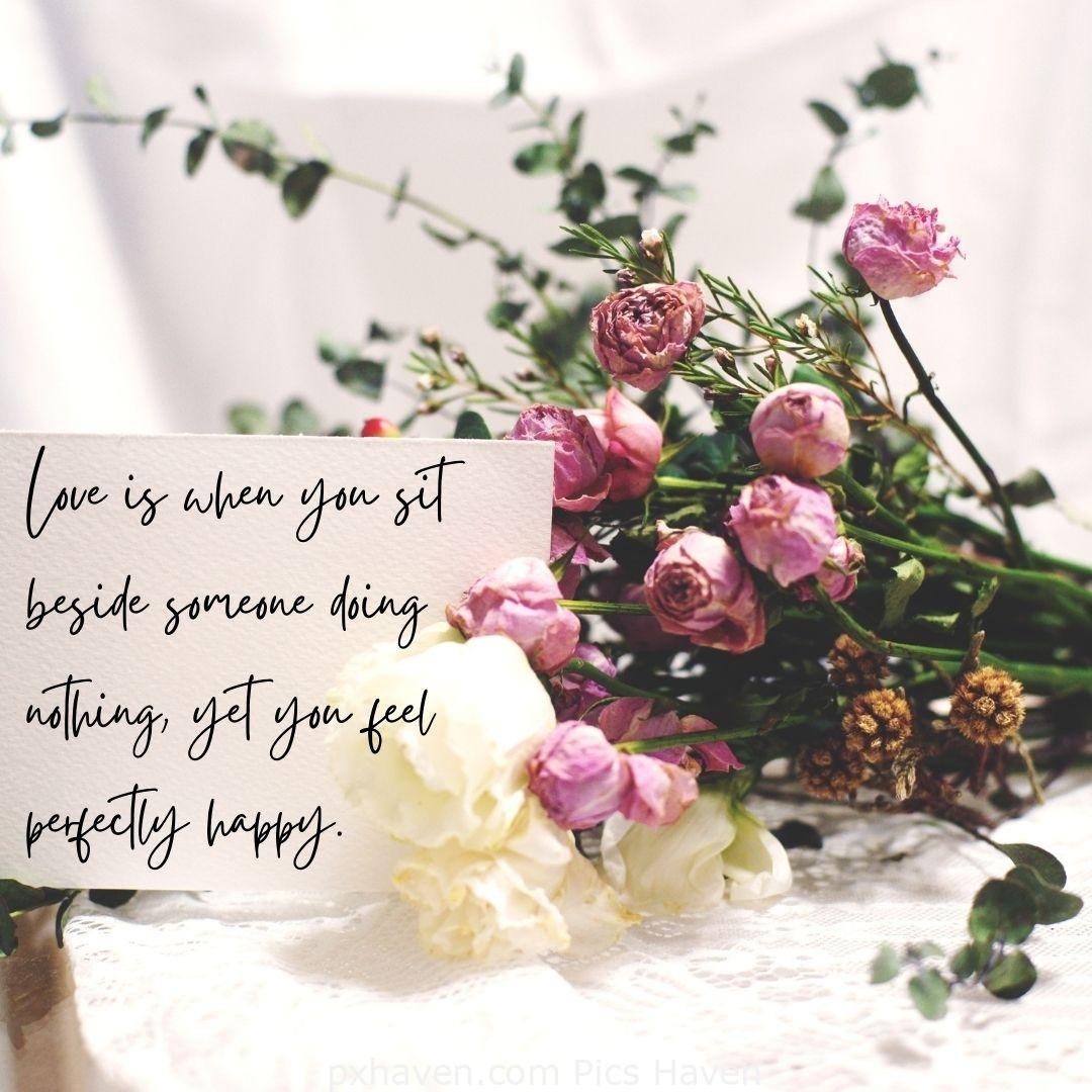 Love is when you sit beside someone dining nothing, yet you feel perfectly happy. pink roses. HD images. Free download.