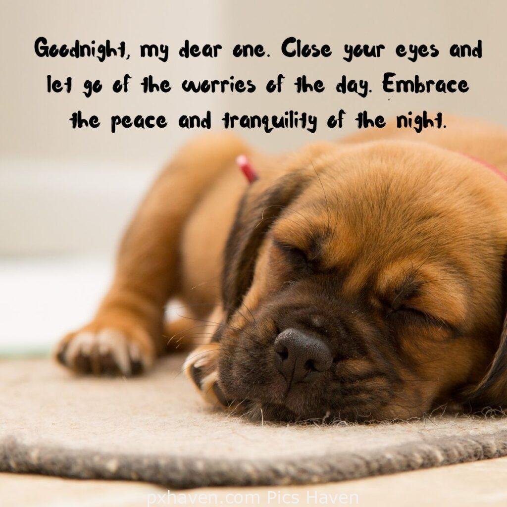 Goodnight, my dear one. Close your eyes and let go of the worries of the day. Embrace the peace and tranquility of the night. HD images. Free download. Good Night WhatsApp images.