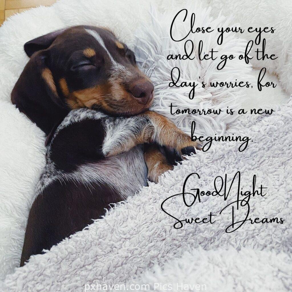 Close your eyes and let go of the day's worries, for tomorrow is a new beginning. GoodNight Sweet Dreams HD images. Free download. Good Night WhatsApp images.