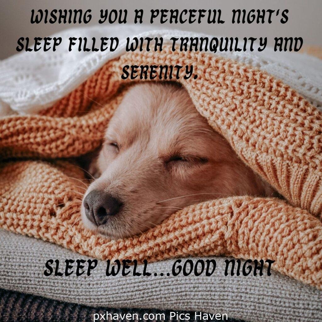Wishing you a peaceful night's sleep filled with tranquility and serenity. Sleep well…Good night. HD images. Free download. Good Night WhatsApp images.