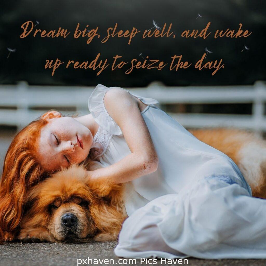 Dream big, sleep well, and wake up ready to seize the day. HD images. Free download. Good Night WhatsApp images.