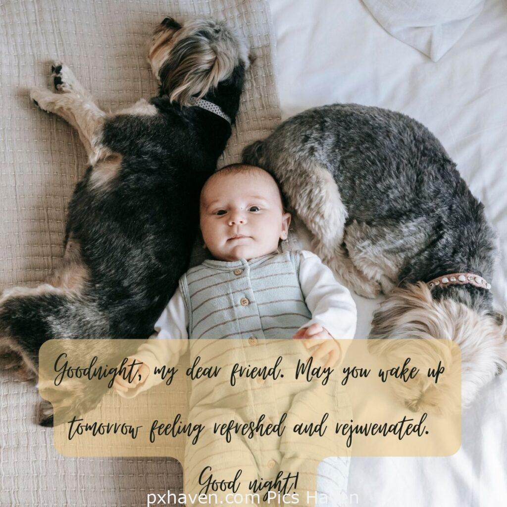 A baby and two dogs are sleeping. Goodnight, my dear friend. May you wake up tomorrow feeling refreshed and rejuvenated. Good night! HD images. Free download. Good Night WhatsApp images.