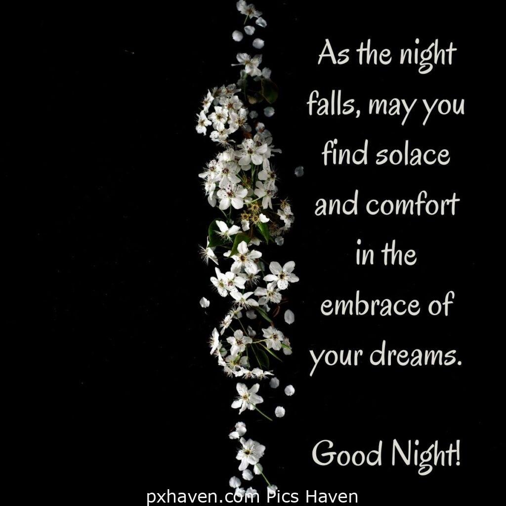 White flowers in night. As the night falls, may you find solace and comfort in the embrace of your dreams. Good Night!HD images. Free download. Good Night WhatsApp images.