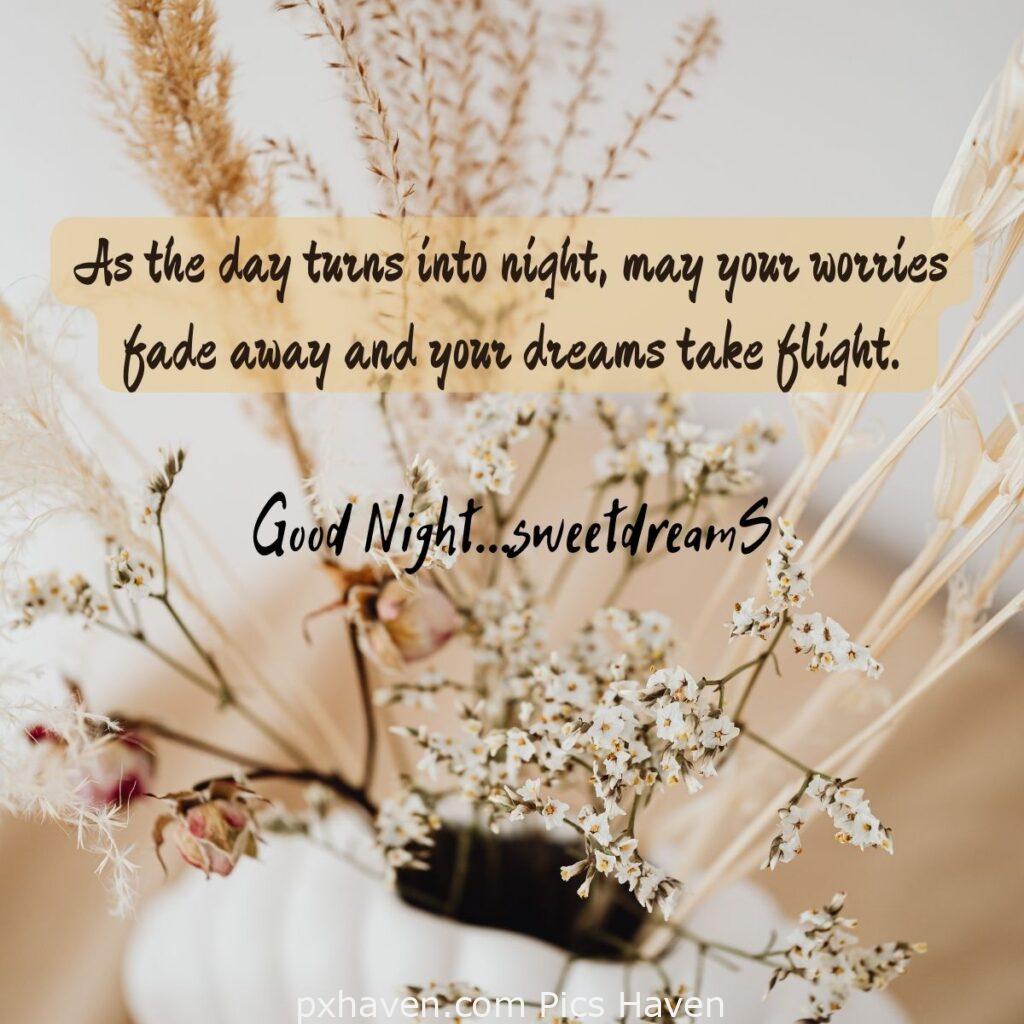 flowers. As the day turns into night, may your worries fade away and your dreams take flight. HD images. Free download. Good Night WhatsApp images.