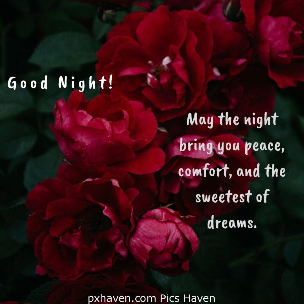 Red flowers wishing good night. May the night bring you peace, comfort, and the sweetest of dreams. HD images. Free download. Good Night WhatsApp images.