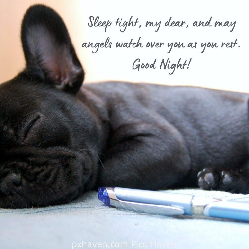 Black dog sleeping. Sleep tight, my dear, and may angels watch over you as you rest. Good Night! HD images. Free download. Good Night WhatsApp images.