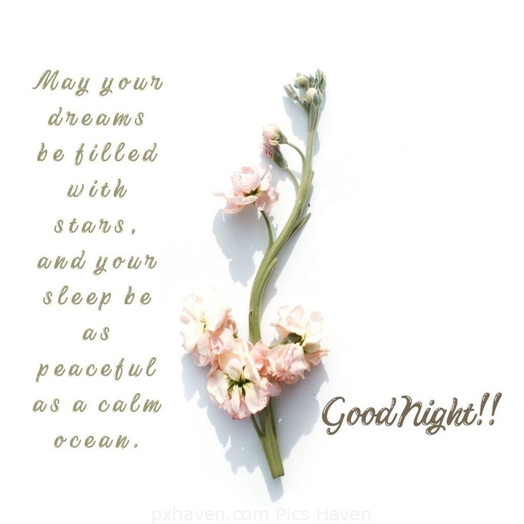 May your dreams be filled with stars, and your sleep be as peaceful as a calm ocean. HD images. Free download. Good Night WhatsApp images.
