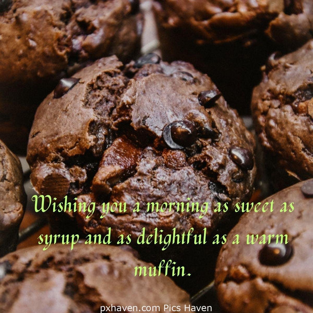 Good Morning breakfast quotes, free images wallpaper, free download. Muffins with chocolate and choco chips. Wishing you a morning as sweet as syrup and as delightful as a warm muffin.