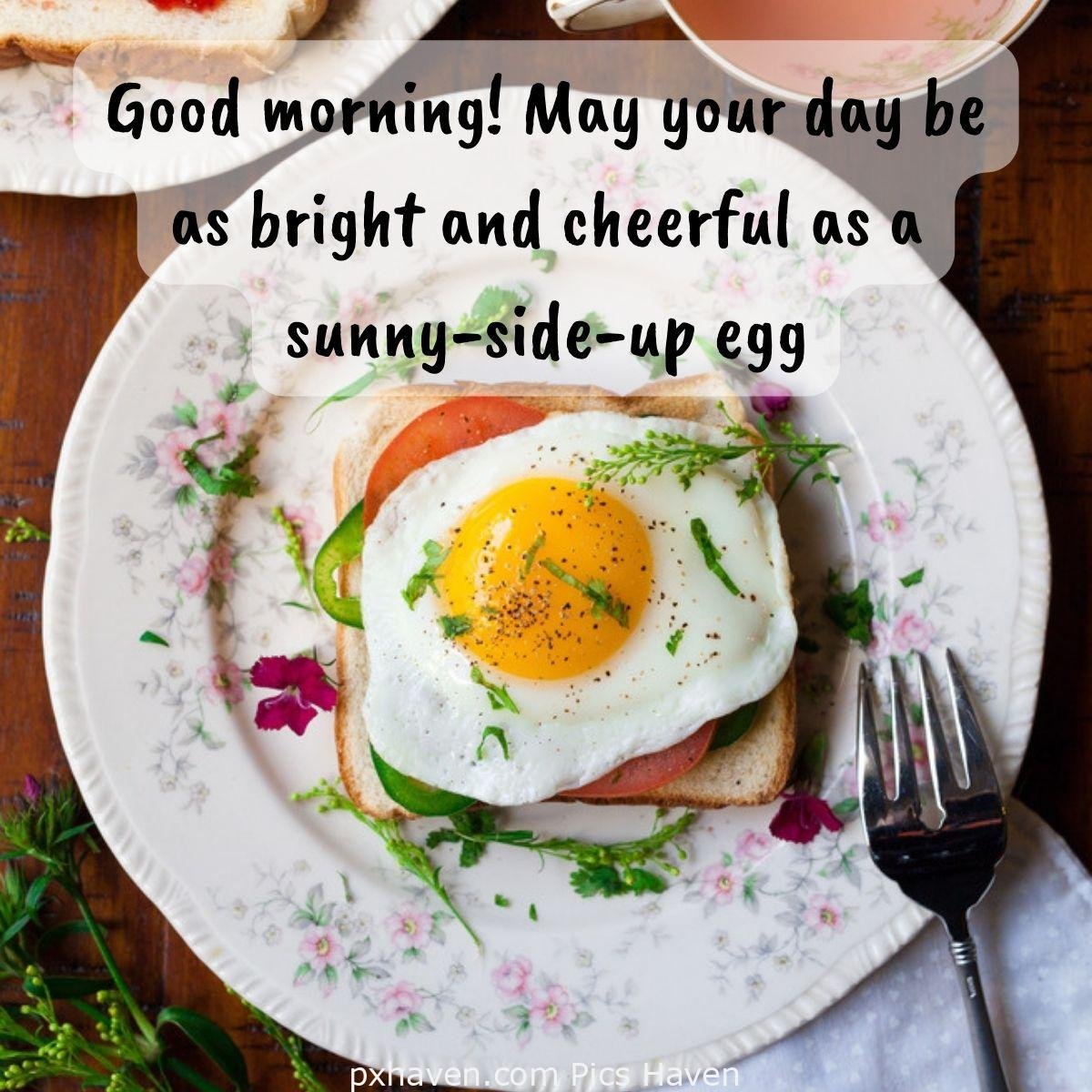 Good Morning breakfast quotes, free images wallpaper, free download. Good morning! May your day be as bright and cheerful as a sunny-side-up egg. Toast with poached egg with yolk upside.